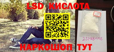 прущие грибы Краснознаменск