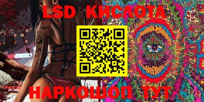 прущие грибы Краснознаменск