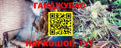 прущие грибы Краснознаменск