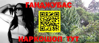 прущие грибы Краснознаменск